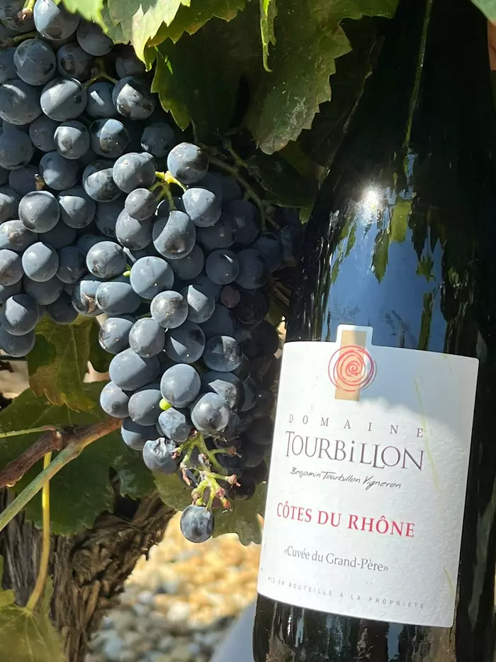 Côte du rhône 
red wine