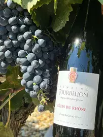 Benjamin Tourbillon, winemaker, unveils his estate in the heart of the Luberon